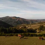 Linar Do Rei * Linares