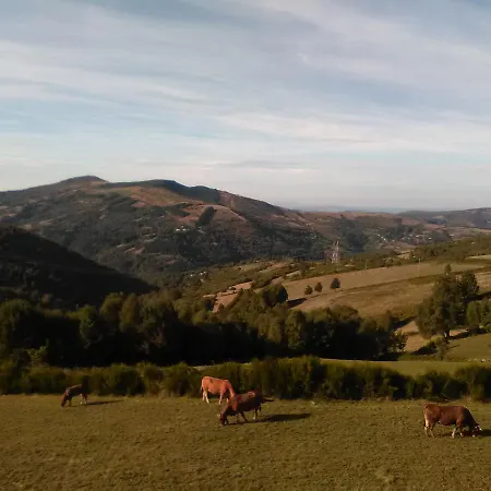 Linar Do Rei * Linares (Galicia)