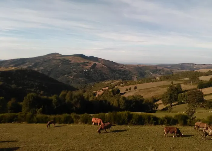 Linar Do Rei * Linares (Galicia)